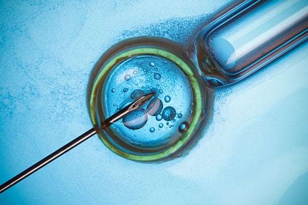 Cost IVF Programme + (INJECTION & MEDICINE EXTRA)