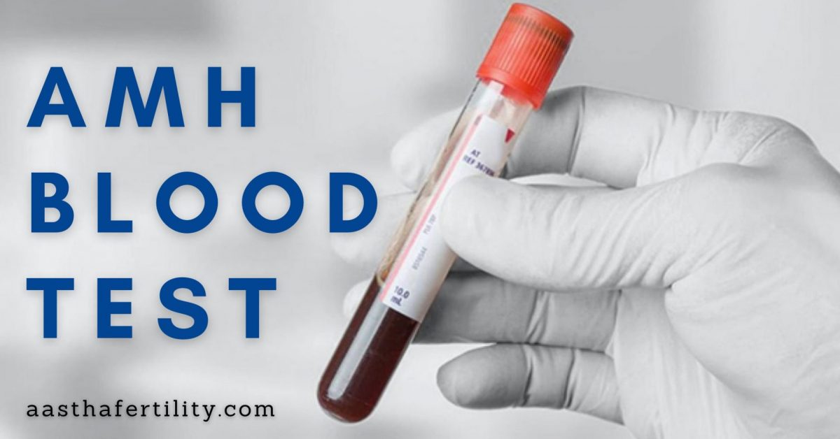 AMH Blood Test: Is it Accurate? How to Interpret the Results