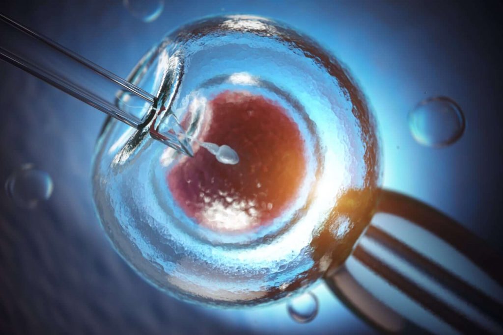 How In-Vitro Fertilizations Works - Is it Painful or Not?