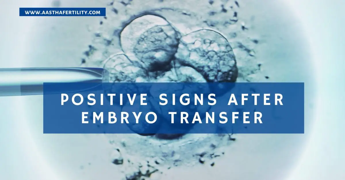Positive Signs After Embryo Transfer