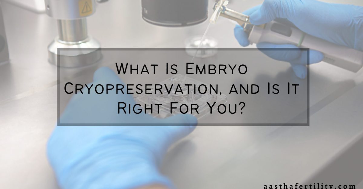 What Is Embryo Cryopreservation, and Is It Right For You?