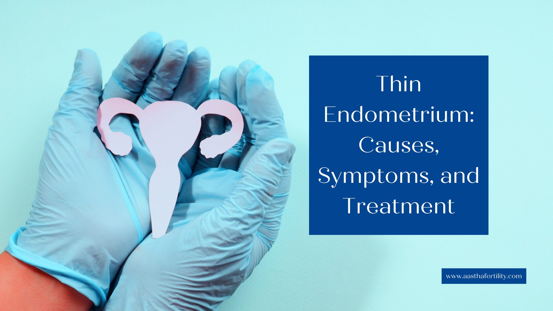 Thin Endometrium Causes, Symptoms, and Treatment