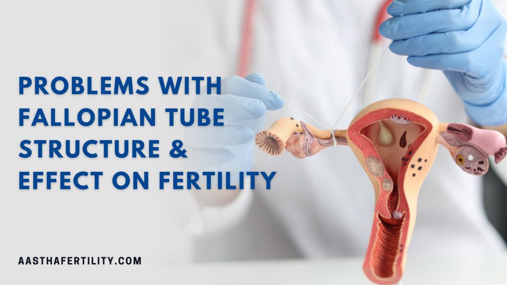 Problems with Fallopian Tube Structure & Effect on Fertility