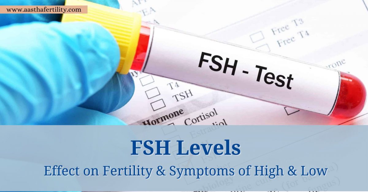 FSH Levels: Effect on Fertility & Symptoms of High & Low