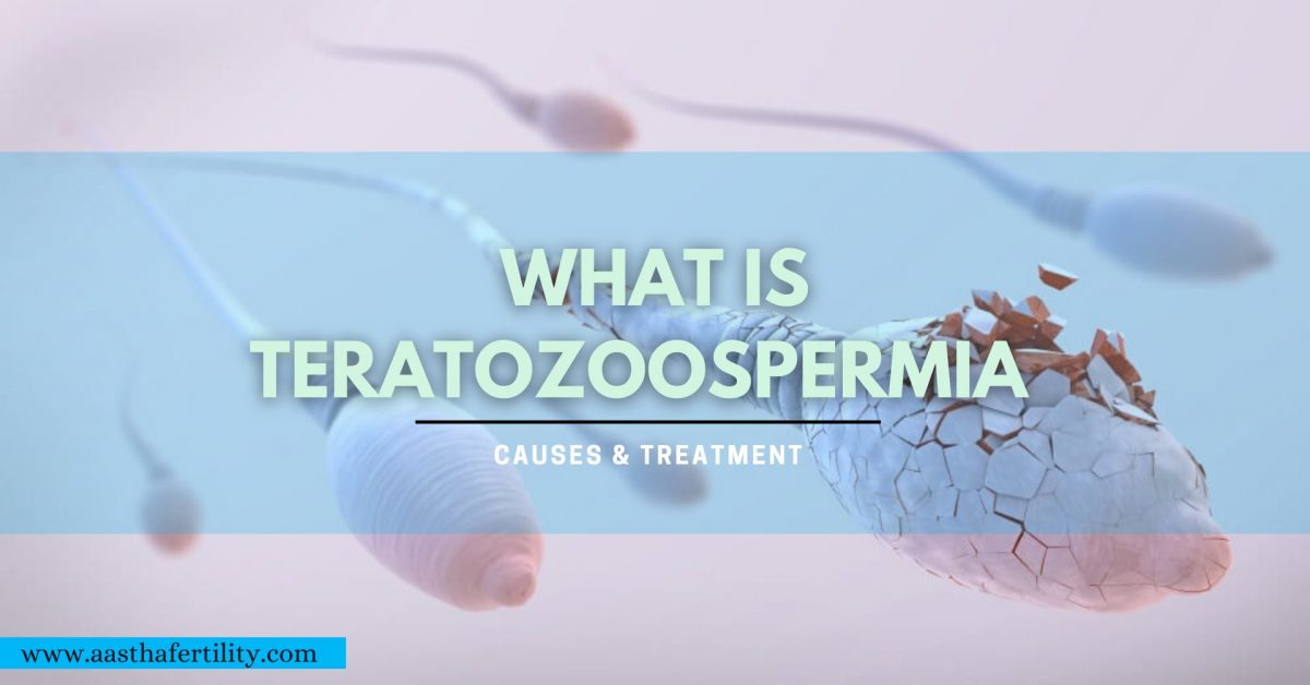 What is Teratozoospermia or Abnormal Sperm Morphology- Causes & Treatment