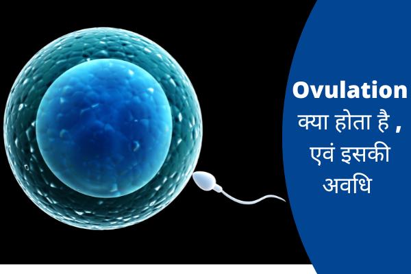 जानें Ovulation क्या है , कैसे होता है, कितने दिन रहता है और इसके लक्षण क्या है ?