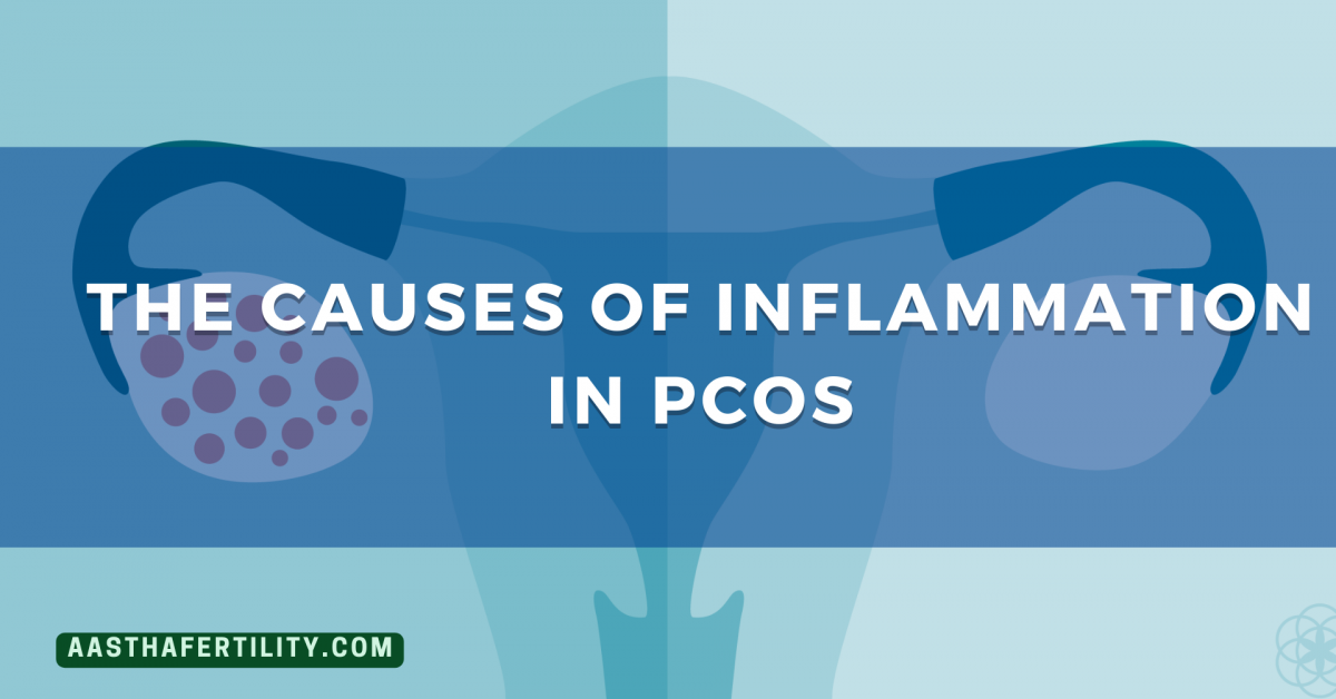 What Are The Causes of Inflammation in PCOS?