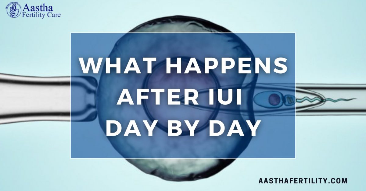 What Happens After IUI Day by Day