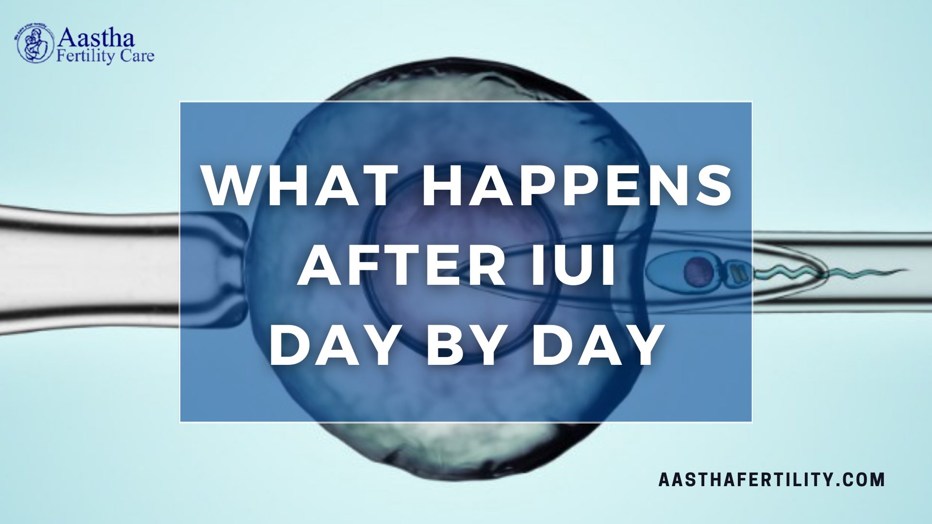 What Happens After IUI Day by Day