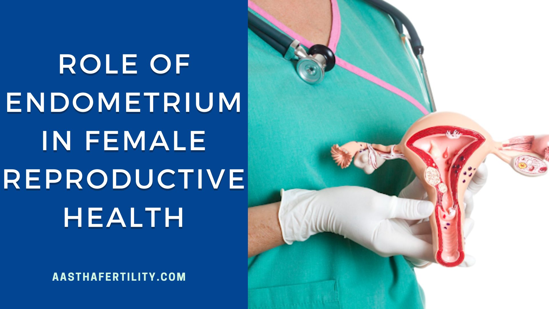 Role of Endometrium in Female Reproductive Health