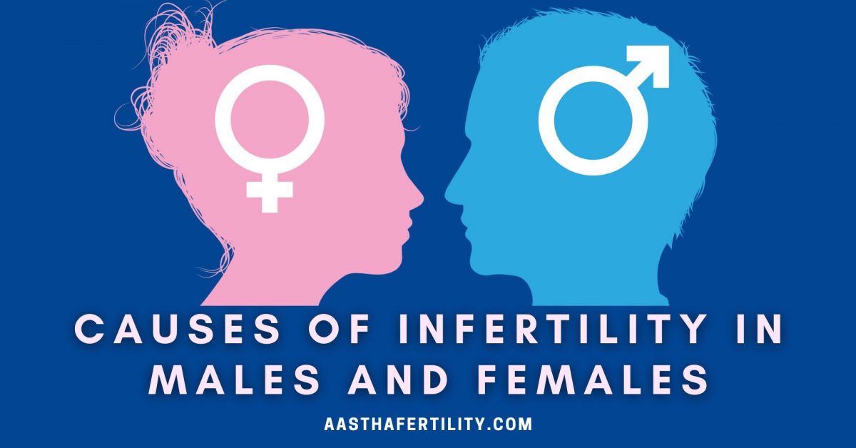Causes of Infertility in Males and Females You Should Know