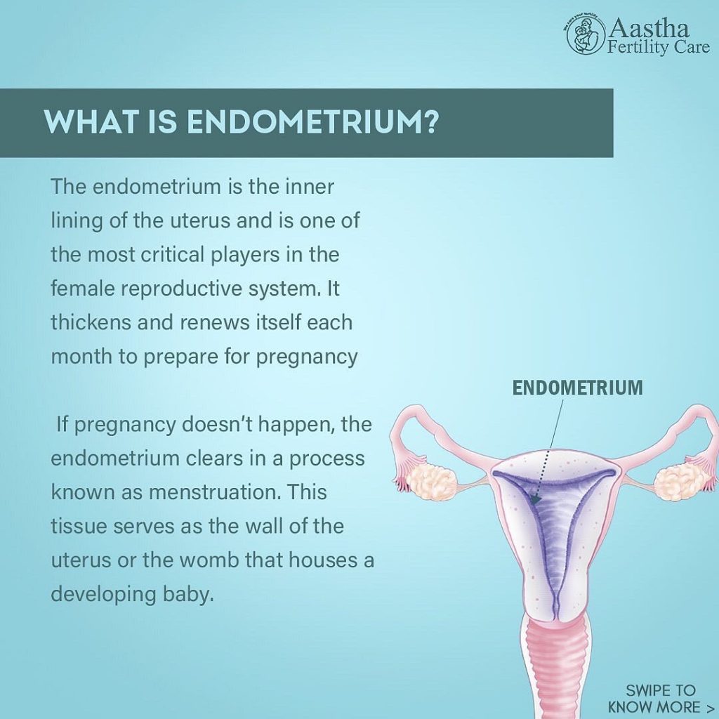 what is endometrium