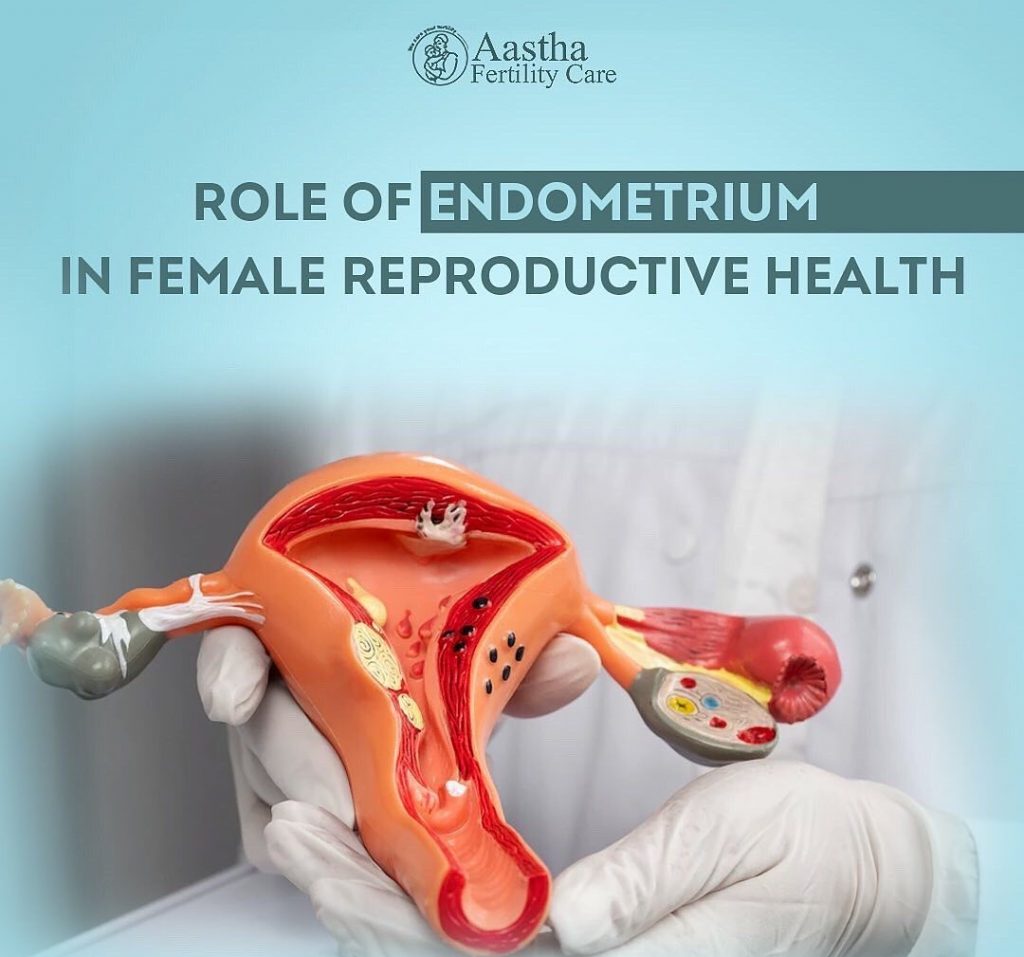 Role of Endometrium in Female Reproductive Health