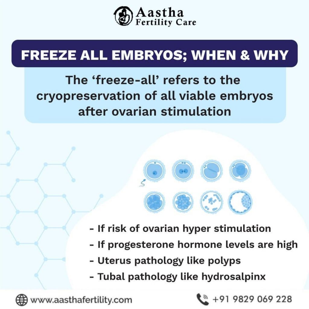 Embryo Cryopreservation