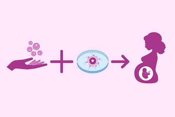 IVF Cycle (with Self Egg)
