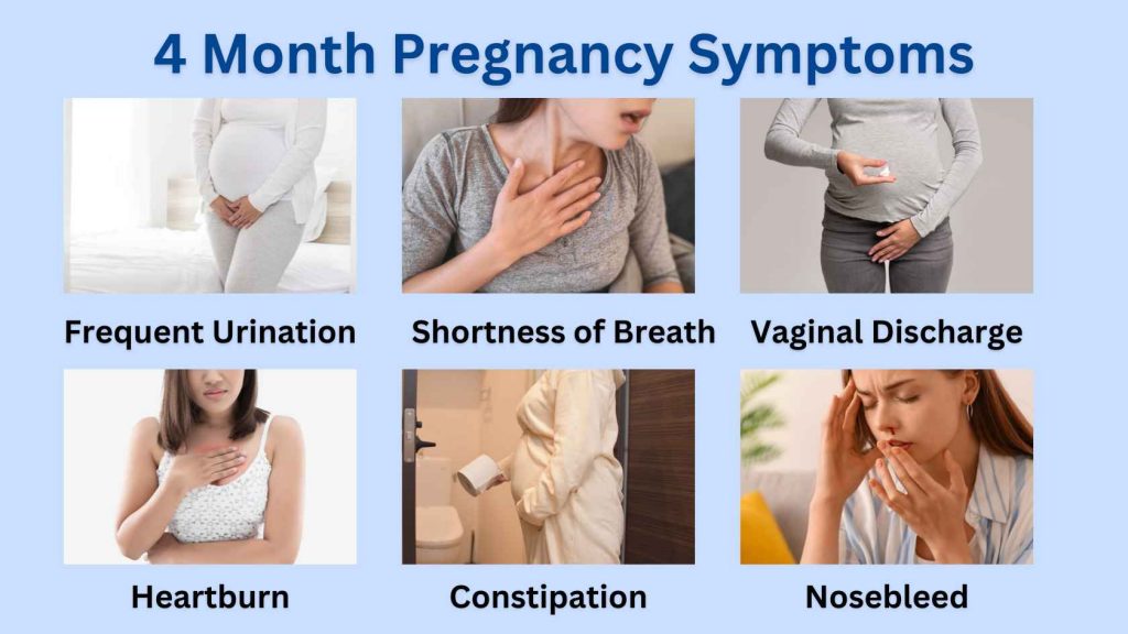 4 Month Pregnancy Symptoms