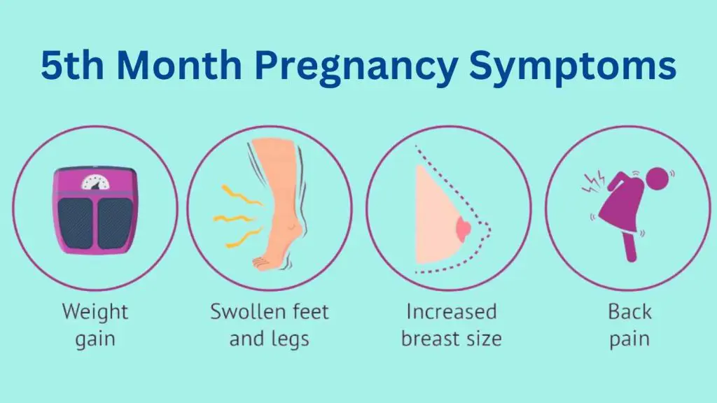 5th month pregnancy symptoms