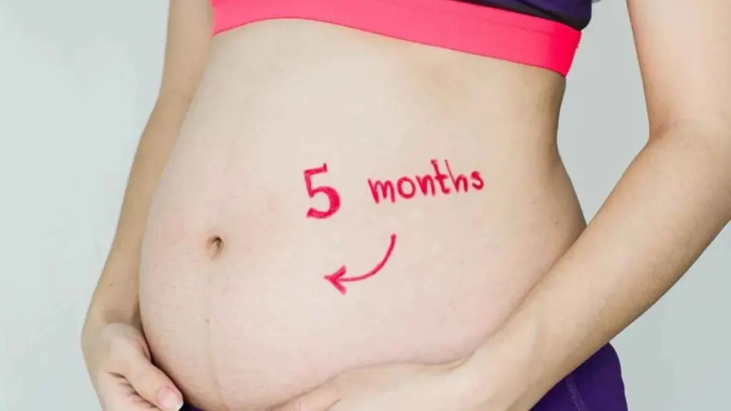 5 months pregnant bump
