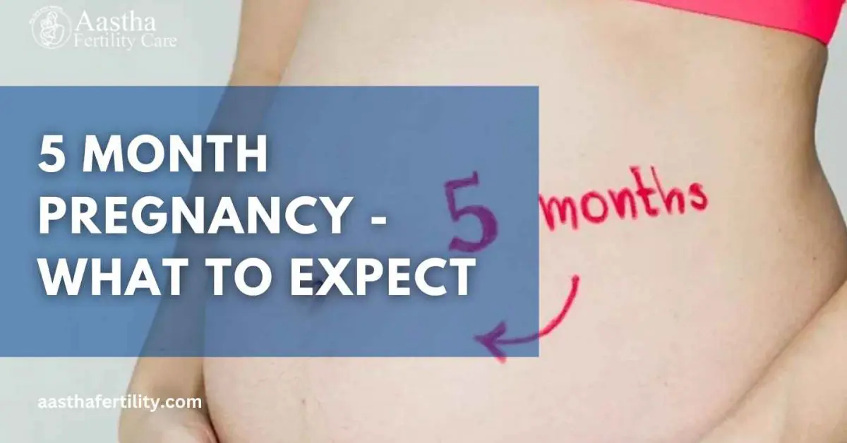 5 Month Pregnancy – What to Expect