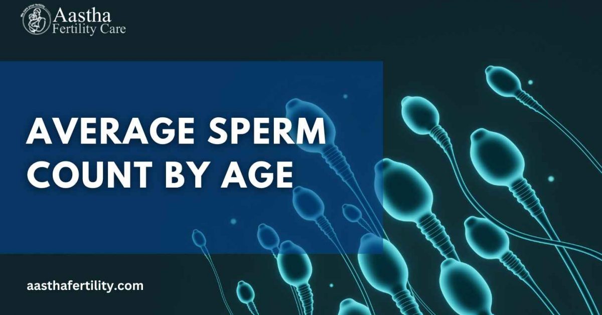 Average Sperm Count By Age- A Complete Guide