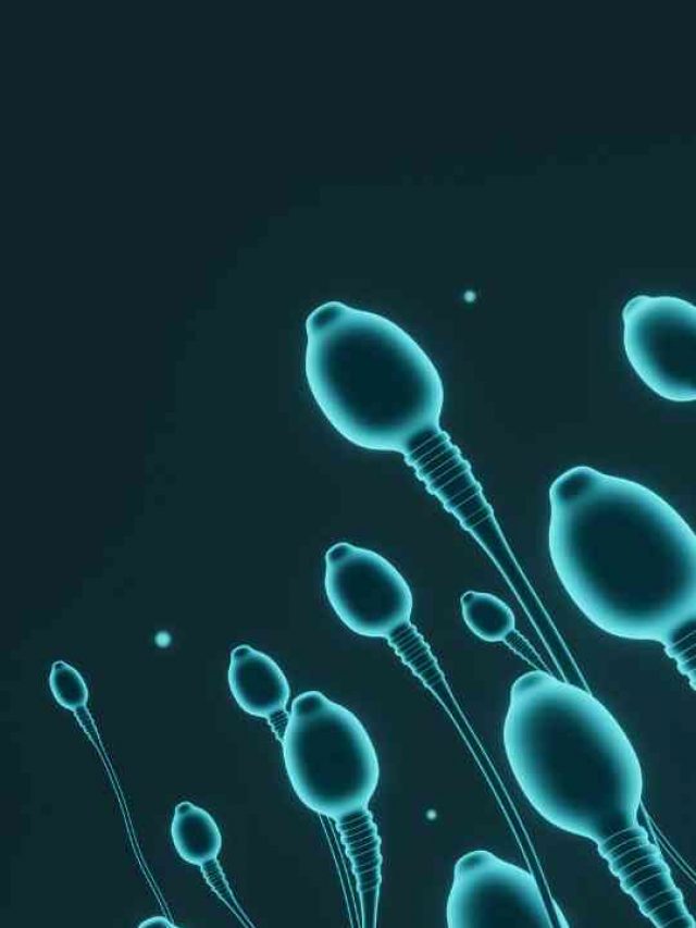 7 Symptoms of Low Sperm Count in Males
