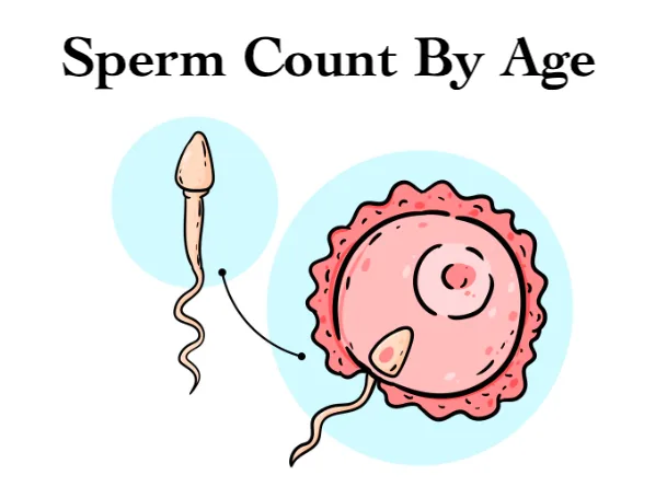 Average Sperm Count By Age
