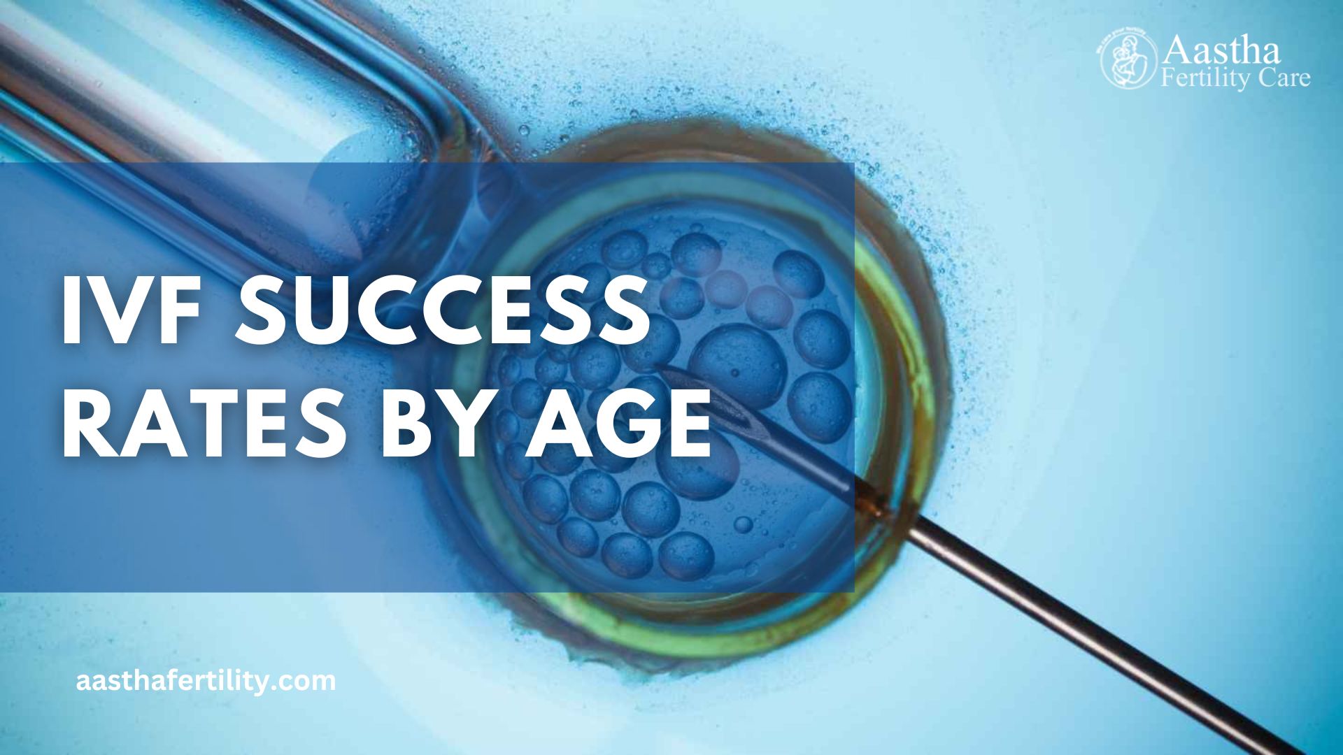 IVF Success Rate by Age