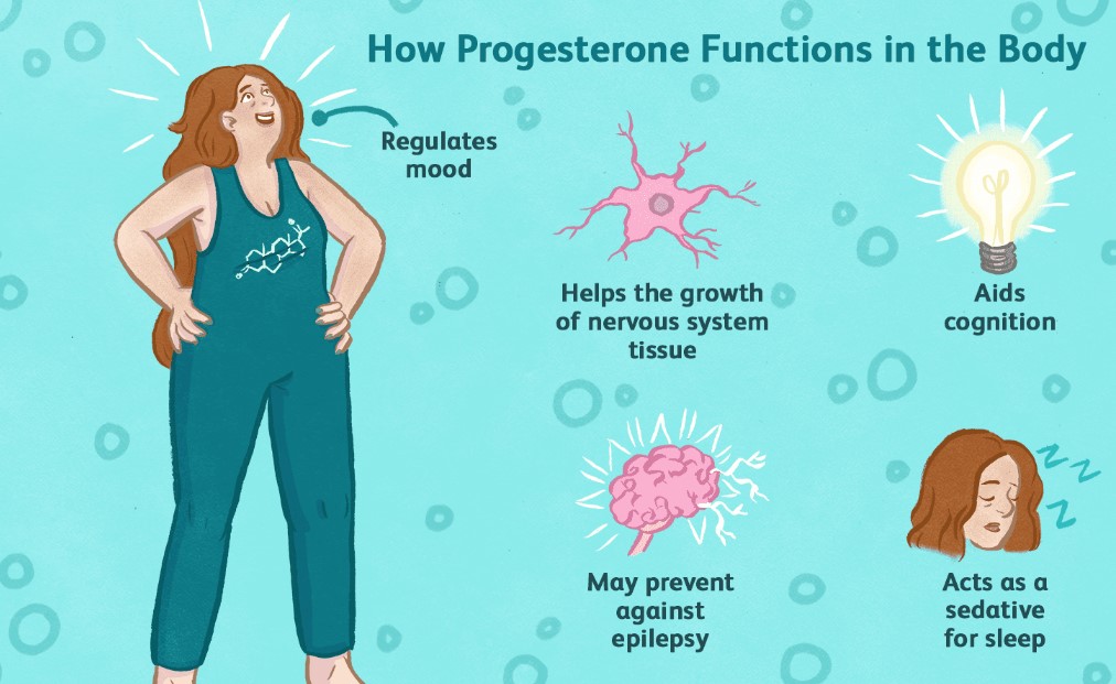 How Progesterone Functions in the body 