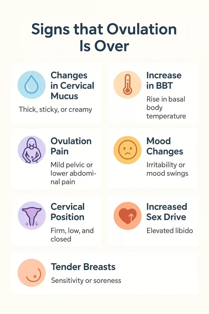 Signs Ovulation Is Over