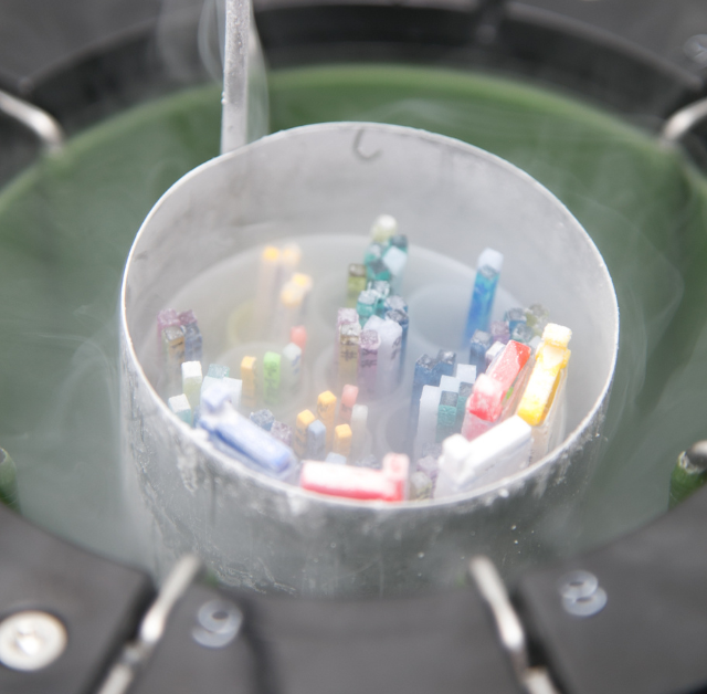 How Egg Freezing Empowers Your Future?