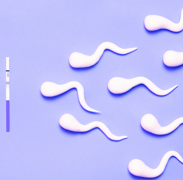 Sperm Motility: Why It’s Important for Conception