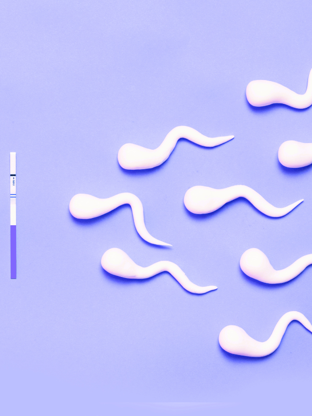 Sperm Motility: Why It’s Important for Conception