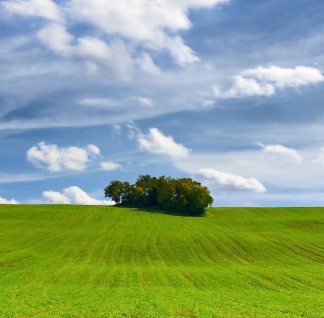 Environmental Factors that May Affect Fertility