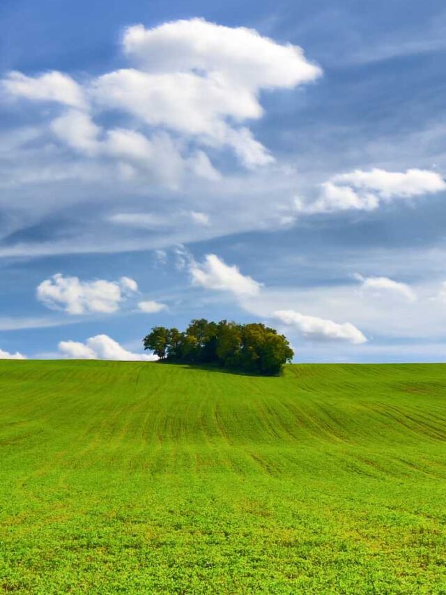 Environmental Factors that May Affect Fertility