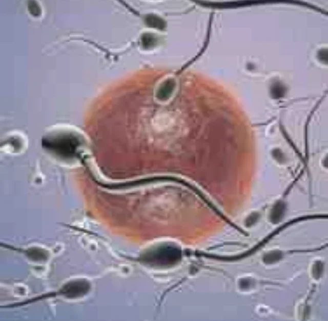 Sperm Count Kaise Badhaye: Natural Tips for Male Fertility