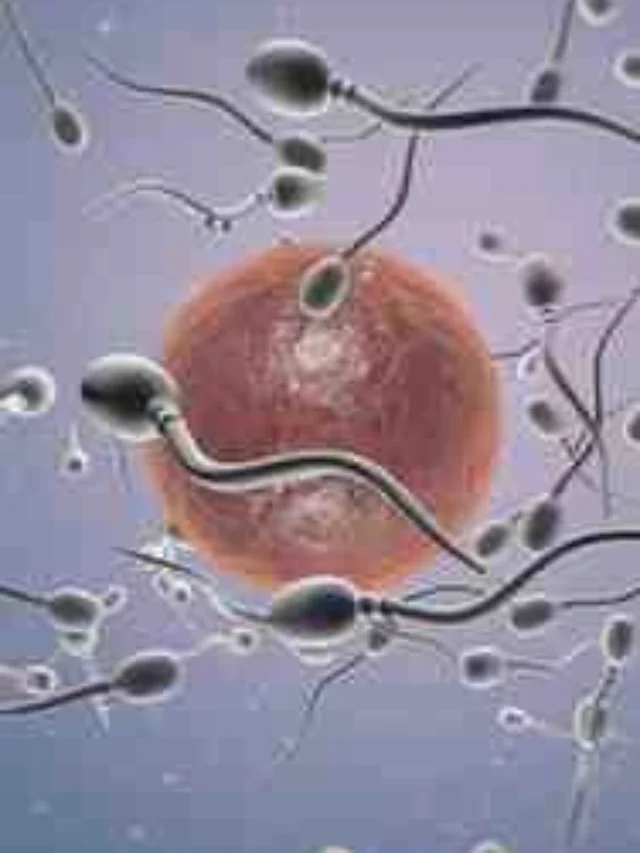 Sperm Count Kaise Badhaye: Natural Tips for Male Fertility