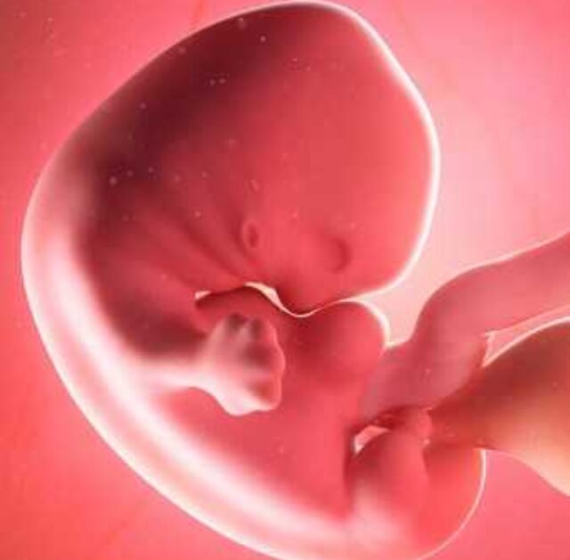 4-Month Pregnancy: What to Expect