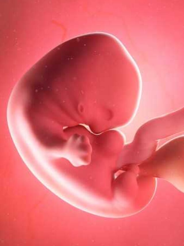 4-Month Pregnancy: What to Expect