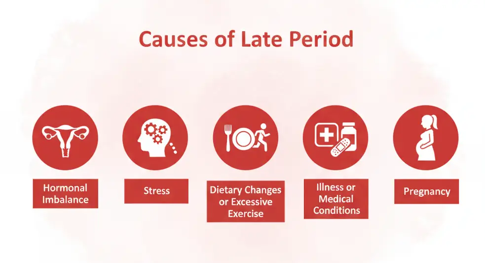 Causes of Late Period