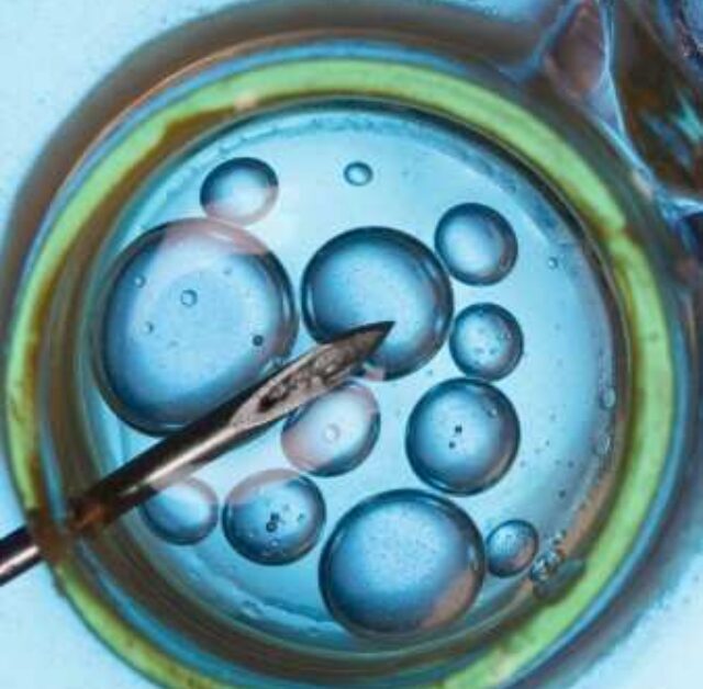 Difference Between IVF and Surrogacy Explained