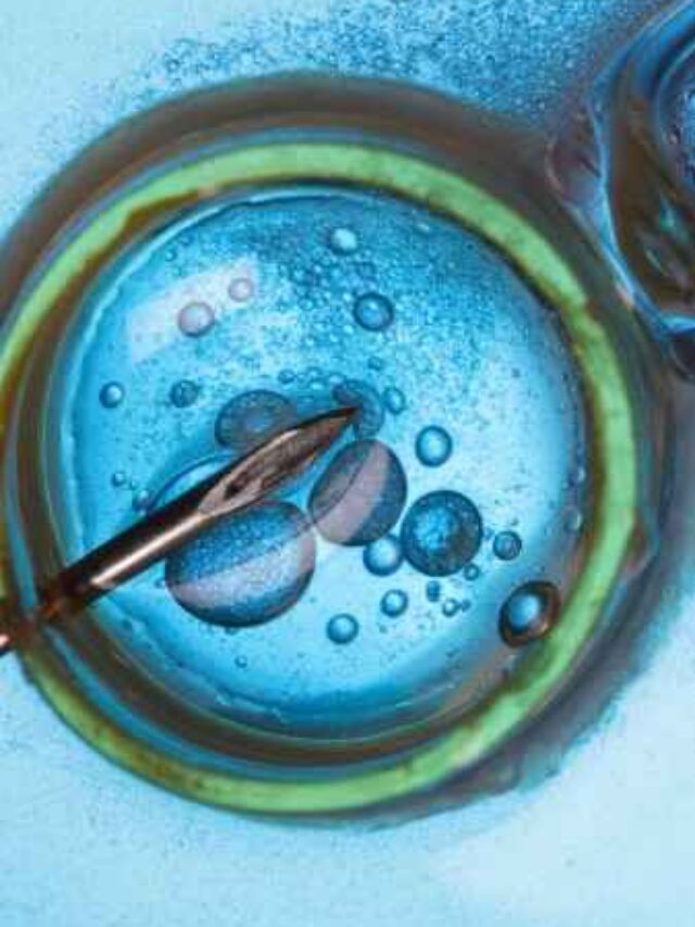 IVF Failure Reasons — Why IVF May Not Succeed