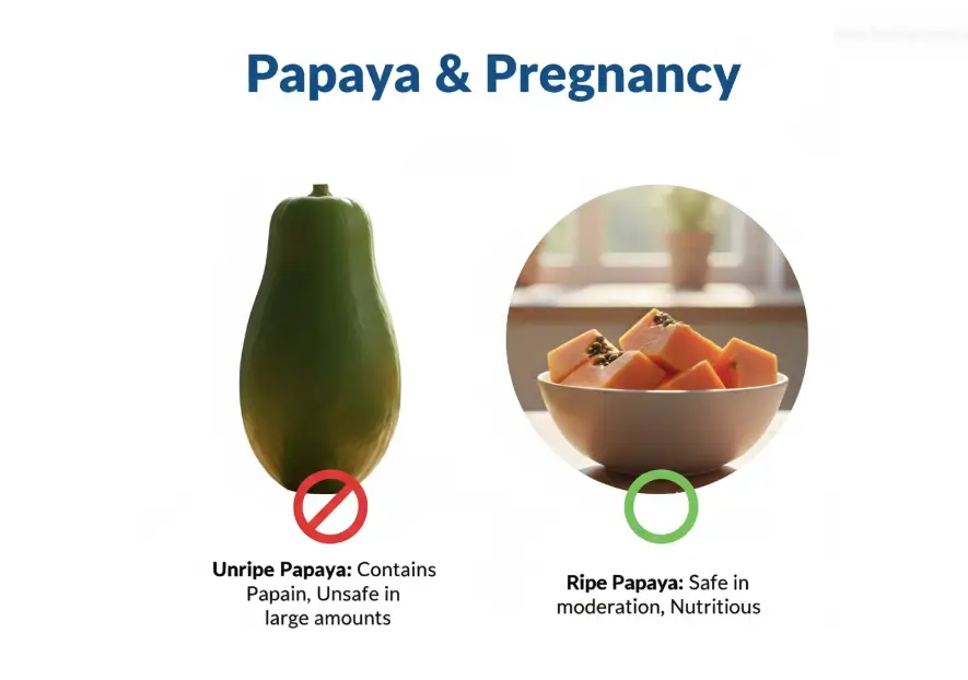 Can Papaya Cause Miscarriage in Early Pregnancy?
