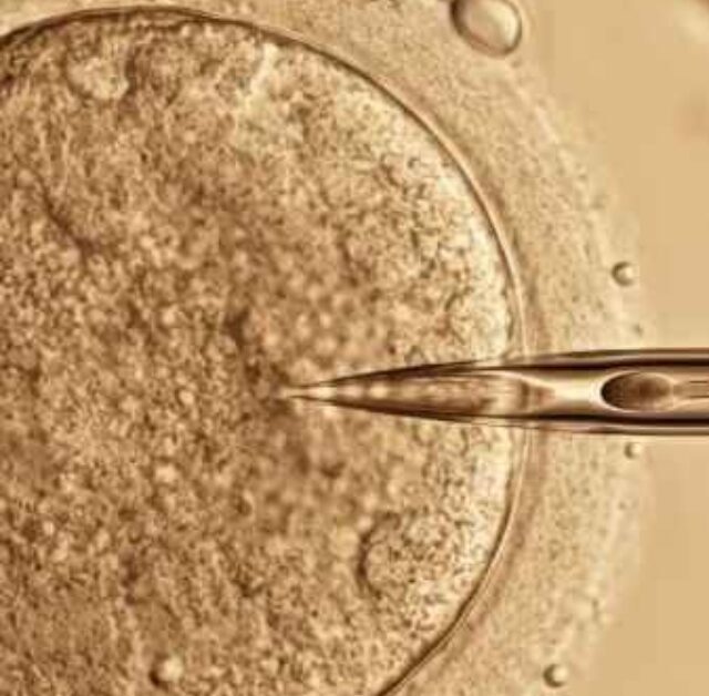 Signs of Fertilization – Early Pregnancy Clues After Conception