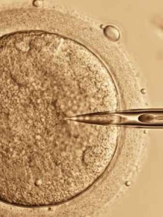 Signs of Fertilization – Early Pregnancy Clues After Conception